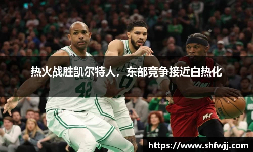 热火战胜凯尔特人，东部竞争接近白热化