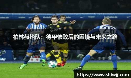 JN江南下载
