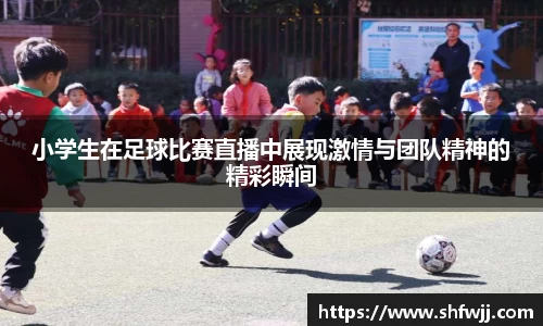 JN江南APP